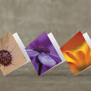 Lot de 3 cartes de voeux photo fleurs - carte photo plante - carte florale vierge - cartes de voeux nature nature - cartes de voeux Royaume-Uni - toutes les occasions
