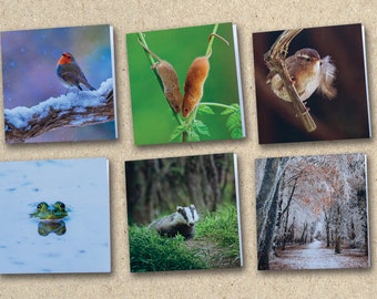 6 Nature Photography Greetings Cards – Blank Nature Cards – Greeting Cards UK – Any Occasion