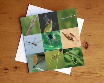 Dragonflies Greeting Card – Dragonfly Lovers – Wildlife Card – Nature Photo Card – Photographic Card – Greeting Cards UK - Any Occasion