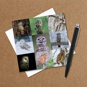 Owls Greeting Card – Bird Lovers – Wildlife Card – Nature Photo Card – Photographic Card – Greeting Cards UK - Bird Watchers - Any Occasion