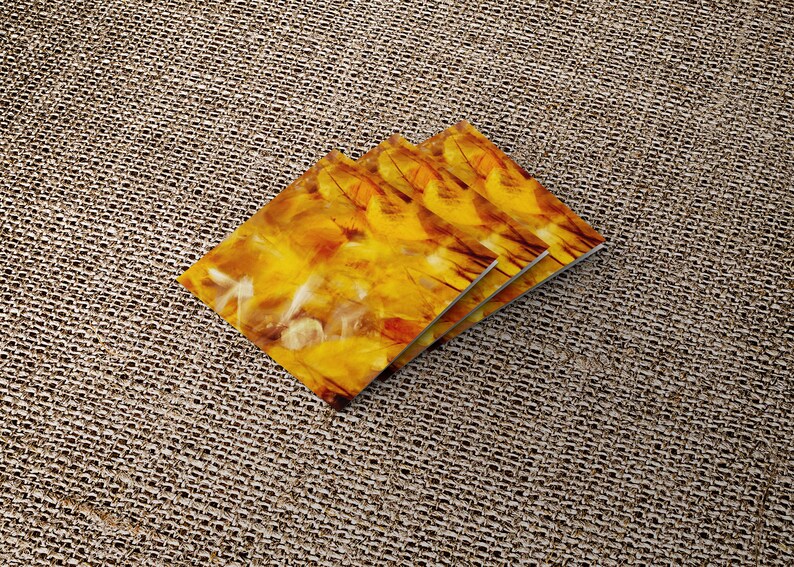 Autumn Leaves Blank Greetings Card Nature Photography Card Plant Card Flower Card Greeting Card UK Any Occasion image 9