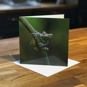 Tarjeta de felicitación con forma de rana – Tarjeta de fotografía de la naturaleza – Tarjeta de felicitación con motivos de vida salvaje en el Reino Unido – Amante de la naturaleza, amante de la vida salvaje – Amante de las ranas