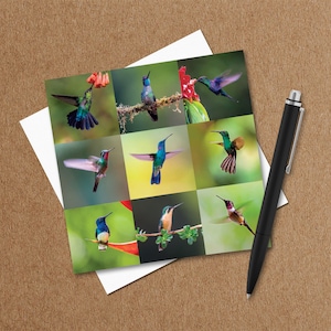 Hummingbirds Greeting Card – Bird Lovers – Wildlife Card – Nature Photo Card – Photographic Card – Greeting Cards UK - Any Occasion