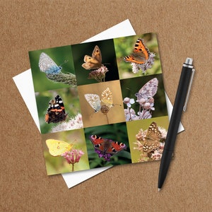 Cartão comemorativo de borboleta - Amantes de borboletas - Cartão de vida selvagem - Cartão fotográfico da natureza - Cartão fotográfico - Cartões comemorativos Reino Unido - Qualquer ocasião