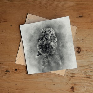 Little Owl Art Greeting Card – Drawing Greeting Card – Art Nature Card – Wildlife Art Card UK – Pastel – Pencil – Charcoal – Birthday Card