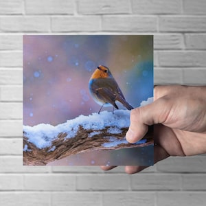 Rotkehlchen im Schnee Vogel Grußkarte – Naturfotografie Karte – Weihnachten - Wildlife Greeting Card UK - Naturliebhaber, Vogelliebhaber