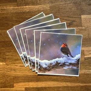 Carte de Noël Robin - Carte photo Oiseau Robin dans les neiges - Carte de voeux Royaume-Uni - Carte de voeux vierge - Amoureux de la nature, amoureux de la faune, observateur d'oiseaux