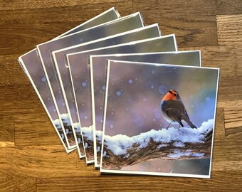 Robin Christmas Card – Robin in Snow Bird Photo Card – UK Greeting Card – Blank Greeting Card –  Nature Lover, Wildlife Lover, Bird Watcher