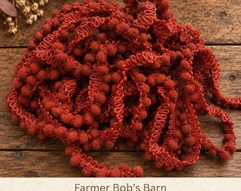 Farmer Bob's Barn Hand Dyed Mini Pom Pom Trim (MPP-69X-73) ~ 2 continuous yards per package