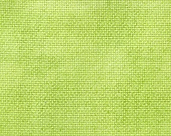 Gremlin Hand-dyed Aida from Vintage NeedleArts cross stitch fabric cloth bright neon green lime