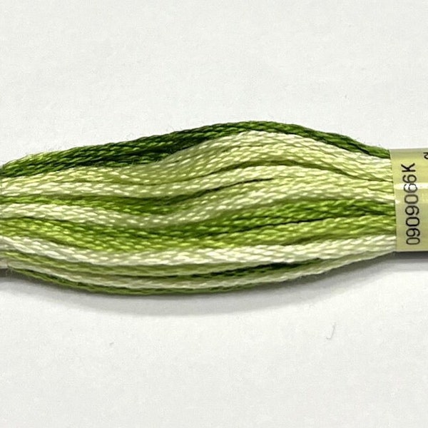 DMC 92 Variegated Avocado - 6 strand embroidery floss