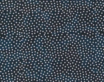 Centennial Stars Calico Fabric from Brother Sister Design Studio ~ 100% cotton for sewing and quilting