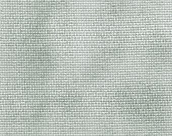 SHORT CUT - Sage (BD) Hand Dyed Charles Craft Aida Cross Stitch Fabric from Vintage NeedleArts
