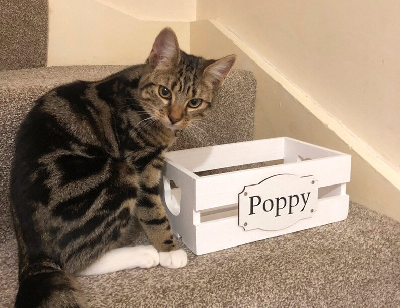 Cat Toy Box Personalized Size XS Cat Toy Storage Cat Etsy