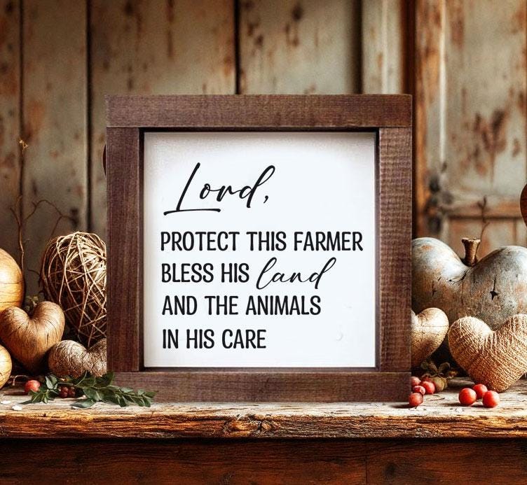 Farmer Gift God Bless This Farm House Shelf Decor Tiered Tray Farmer's ...