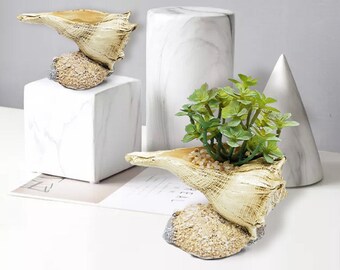 Hars Creatieve Giant Conch Succulente Pot voor Thuis Decration, Indoor Succulente Plantenbak, Plantenpot, Bloemenvaas, Bloempot Verjaardagscadeau