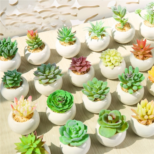 Faux Succulents Etsy