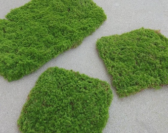 Artificial Moss Mat, Faux Green Moss Sheet for Terrarium, Wall Decor, Mini Landscape, Diorama, Floral Arrangement