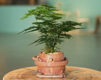 Resin Creative Retro Old Objects Succulent Pot for Home Decration,Indoor Succulent Planter,Plant Pot,Flower Vase,Flowerpot Birthday Gift