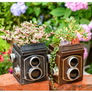 May include: Two vintage camera-shaped planters, one black and one brown, with succulent plants growing inside. The black planter has pink flowers and the brown planter has green succulents.