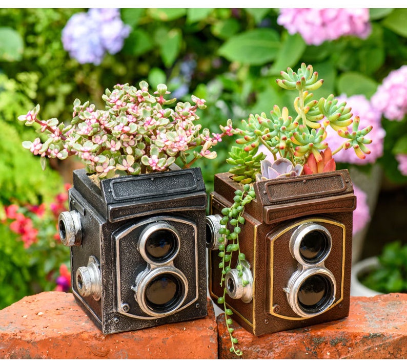 May include: Two vintage camera-shaped planters, one black and one brown, with succulent plants growing inside. The black planter has pink flowers and the brown planter has green succulents.