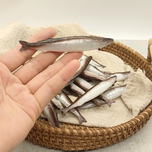 May include: A hand holding a small, silver-colored fish with a dark brown back. The fish is surrounded by a pile of similar fish in a woven basket.
