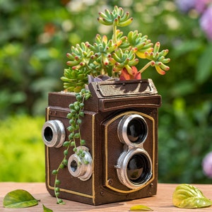 May include: A brown vintage camera-shaped planter with two lenses and gold accents. The planter is filled with green succulents.