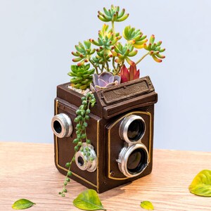 May include: A brown vintage camera-shaped planter with gold accents and two silver lens details. The planter is filled with green succulents.