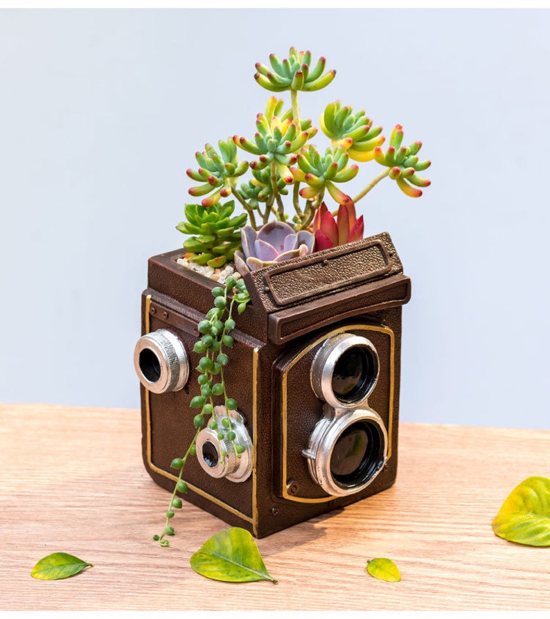 May include: A brown vintage camera-shaped planter with gold accents and two silver lens details. The planter is filled with green succulents.