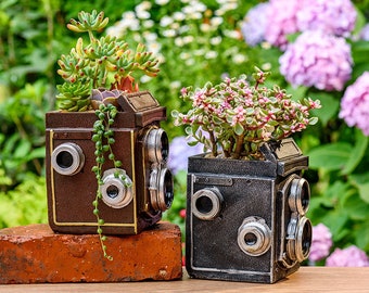 May include: Two vintage camera-shaped planters, one brown and one black, with succulent plants growing inside. The planters have realistic details, including lenses and a viewfinder.