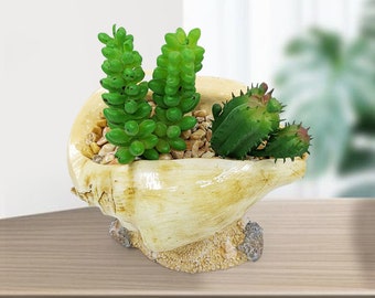 Pot Succulent de conque géant créatif en résine pour la décoration de la maison, jardinière succulente d'intérieur, Pot de plante, Vase de fleur, Pot de fleur cadeau d'anniversaire