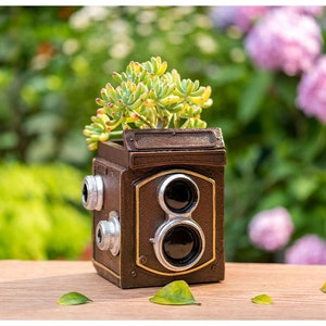 May include: A brown camera-shaped planter with a succulent plant growing inside. The planter has a vintage look with two lens-shaped holes on the front.
