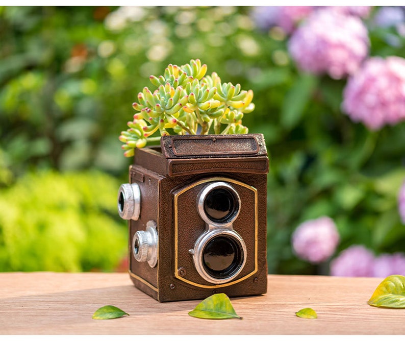 May include: A brown camera-shaped planter with a succulent plant growing inside. The planter has a vintage look with two lens-shaped holes on the front.