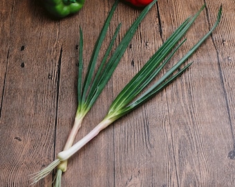 Fake Scallion Groenten Model, Gesimuleerde PU Zachte Sjalot, Fake Food Model Kinderspeelgoed, Keuken Decoratie