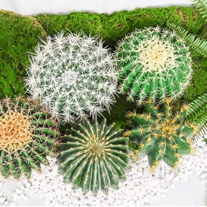 Grande plante de cactus artificielle, Cactus simulé, Décoration de fausses plantes tropicales