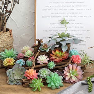 May include: A collection of artificial succulent plants in various shapes, sizes, and colours including shades of green, pink, orange, and yellow. The succulents are arranged on a piece of dark brown driftwood, with some individual pieces placed around the base.