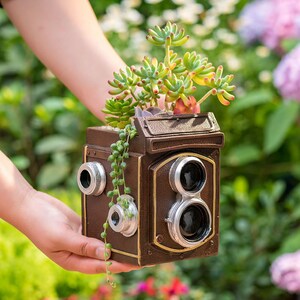 May include: A brown and gold camera-shaped planter with a succulent plant growing inside. The planter has two lens-shaped openings and a vintage look.