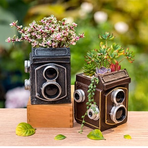 May include: Two vintage camera-shaped planters, one black and one brown, with succulent plants. The black planter has a pink and green succulent, and the brown planter has a variety of green succulents.