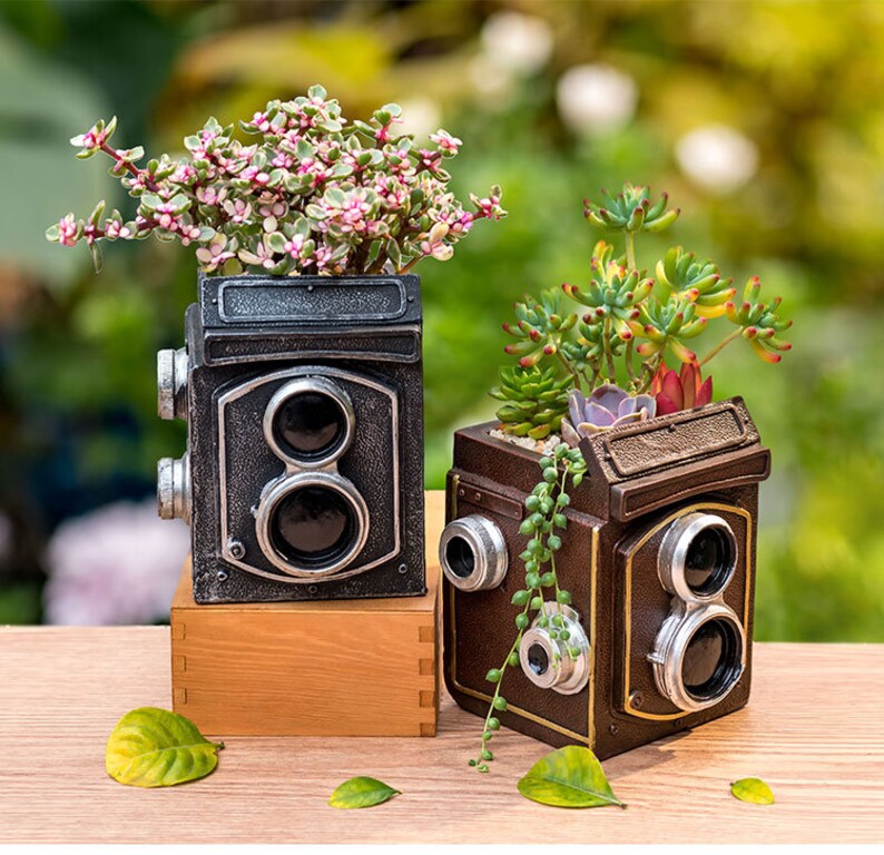 May include: Two vintage camera-shaped planters, one black and one brown, with succulent plants. The black planter has a pink and green succulent, and the brown planter has a variety of green succulents.