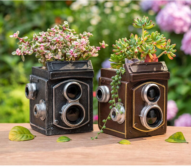 May include: Two vintage camera-shaped planters, one black and one brown, with succulent plants growing inside. The planters have realistic details, including lenses and a faux leather finish.