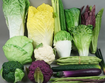 Nep groenten komkommer aubergine model, gesimuleerde ui kool peper, nep voedsel, kookonderwijs rekwisieten, restaurant decoratie