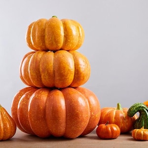 May include: A stack of three orange pumpkins, with a smaller orange pumpkin and a green and orange gourd in front.