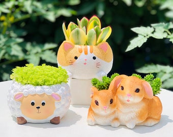 Pot succulent en résine d'animal de dessin animé pour la décoration de la maison, jardinière créative créative pour chien et lapin, pot de plante, pot de fleur cadeau d'anniversaire