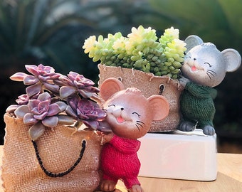 Pot succulent d'animal de bande dessinée en résine pour la décoration de la maison, jardinière créative de succulentes de rat, pot de plante, cadeau d'anniversaire de pot de fleur