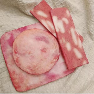 Simula pancetta, carne di prosciutto simulata, modello di cibo finto, accessori per l'insegnamento della cucina, decorazione di ristoranti