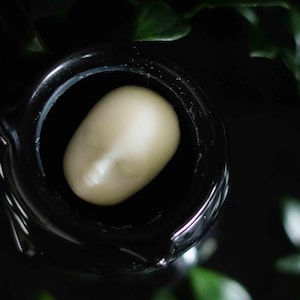 DARK LIBRARY - Dolls Head Wax Melts - Veganistisch, wreedheidsvrij handgemaakt cadeau met gothic, alternatief, emo, schattig, griezelig, langdurig