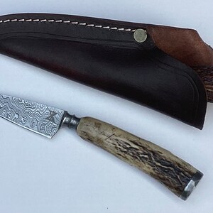 Gamsjaga Damascus knife GJ34b stag horn