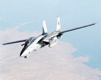F14 Tomcat A3 Aircraft Poster Print A4