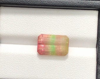 tourmaline bicolor 7.39 carats natural from Afghanistan