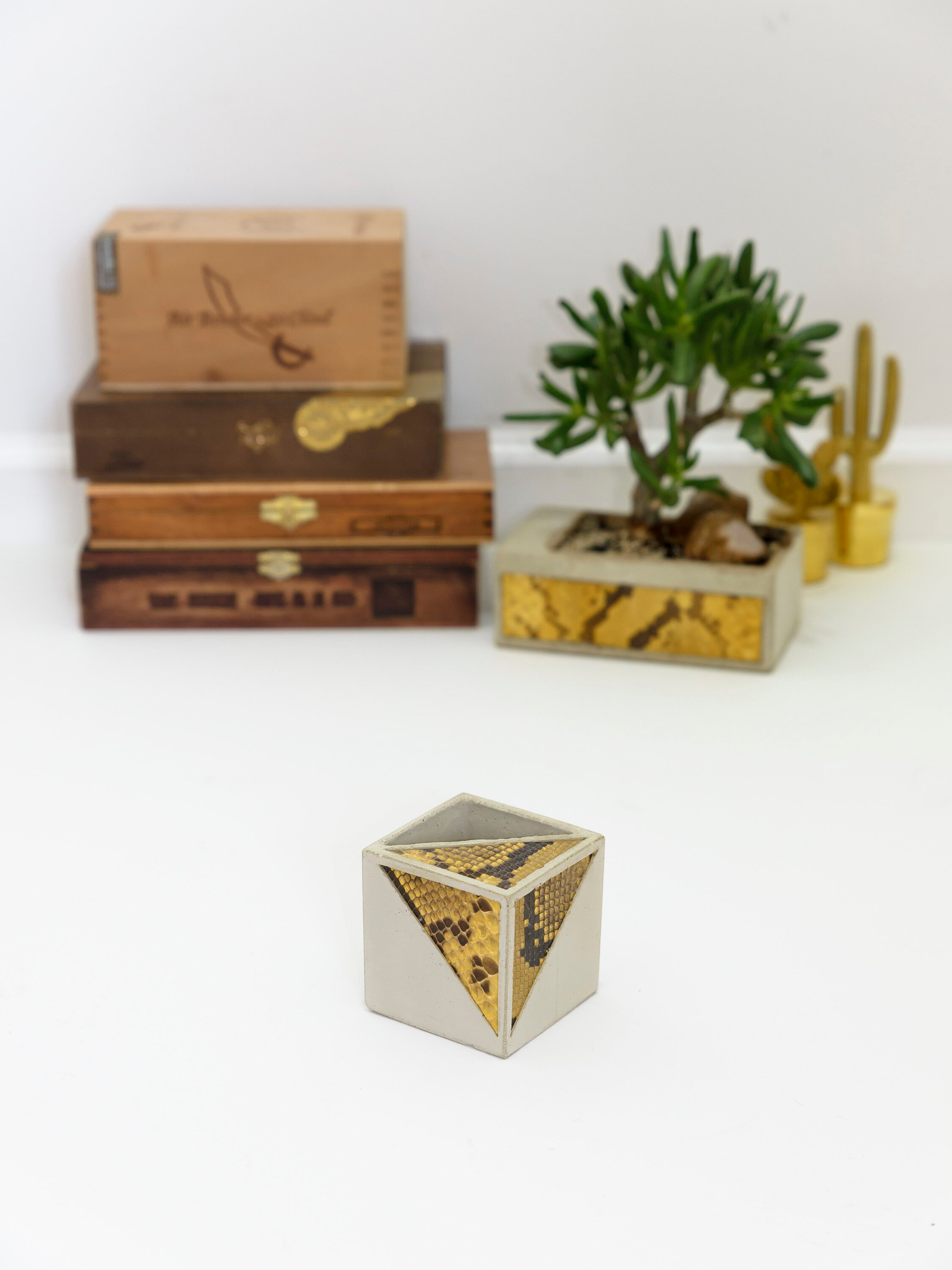 Geometric - Tricolor Cubical Concrete Planter - With Earth Tone Snake ...